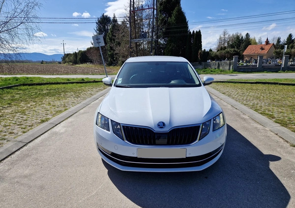 Skoda Octavia cena 49900 przebieg: 163000, rok produkcji 2018 z Siedlce małe 79